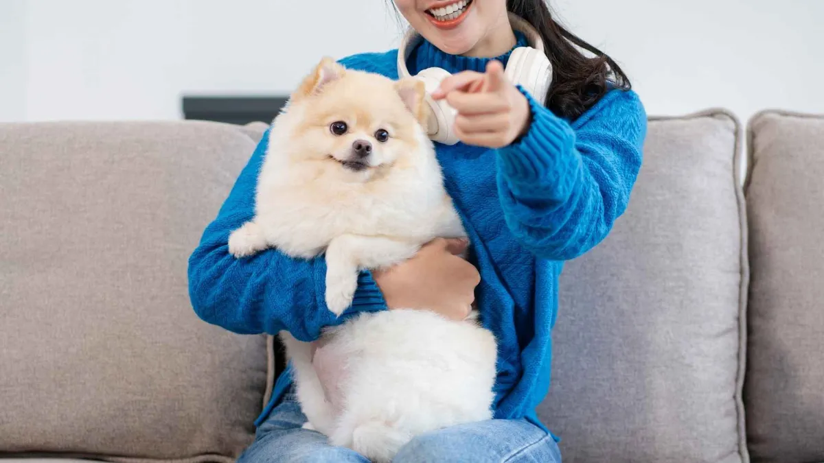 7 Companion Puppy Dog Breeds for Loyal and Loving Pets