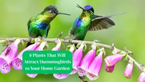 8 Plants That Will Attract Hummingbirds to Your Home Garden